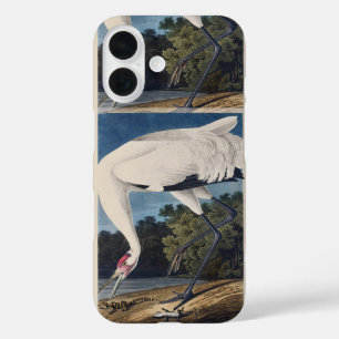 Vintage Audubon Whooping Crane Bird Nature Art iPhone 16 Case