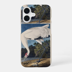 Vintage Audubon Whooping Crane Bird Nature Art iPhone 16 Case