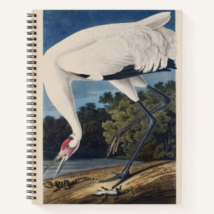 Vintage Audubon Whooping Crane Bird Nature Art Notebook