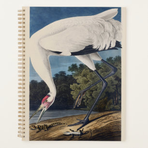 Vintage Audubon Whooping Crane Bird Nature Art Planner