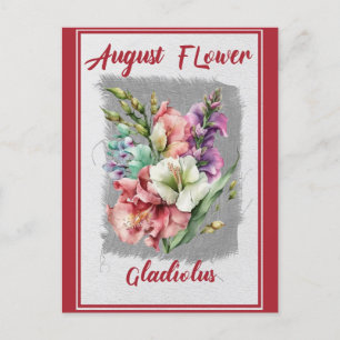 Vintage August Flower Gladiolus Floral Postcard