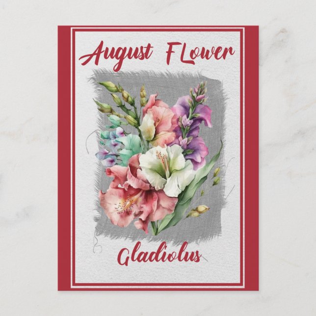 Vintage August Flower Gladiolus Floral Postcard (Front)