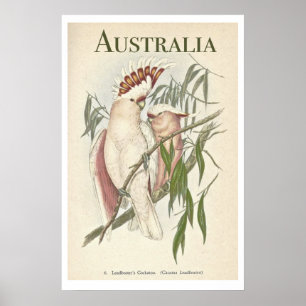 Vintage Australia poster