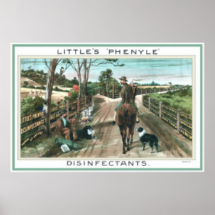 Vintage Australian Advertising Poster Disinfectant