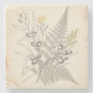 Vintage Australian Native Botanical Illustration  Stone Coaster