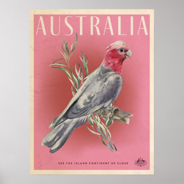 Vintage Australian Parott travel poster (Front)