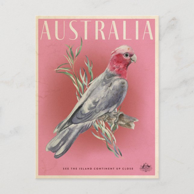 Vintage Australian Parott travel poster Postcard (Front)