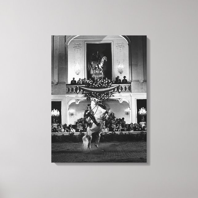 Vintage Austria Vienna Spanish Courbette Canvas Print (Front)