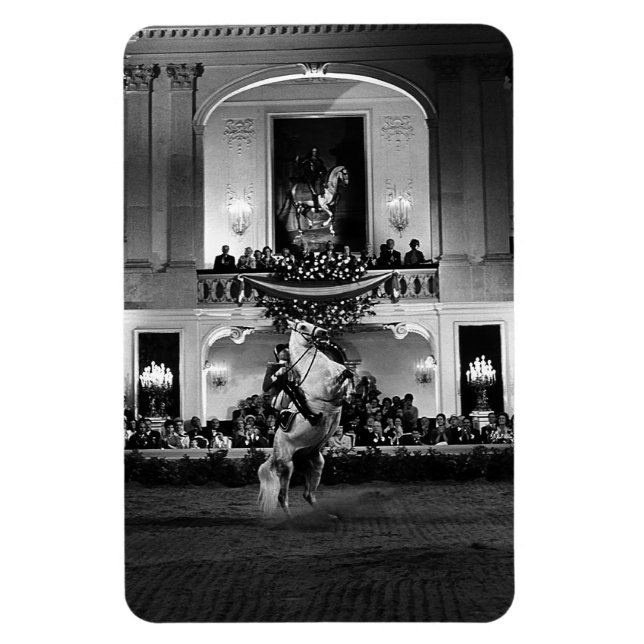 Vintage Austria Vienna Spanish Courbette Magnet (Vertical)