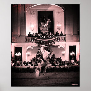 Vintage Austria Vienna Spanish Courbette Poster