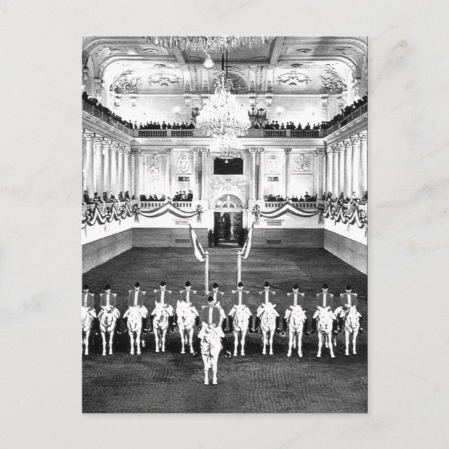 Vintage Austria Vienna Spanish Riding-School Postcard (Front)