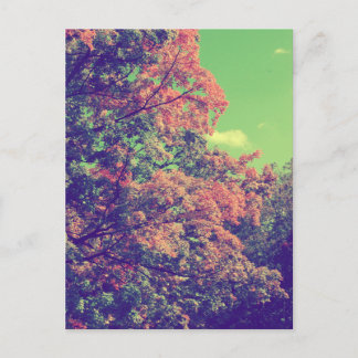 Vintage Autumn Leaves Postcard