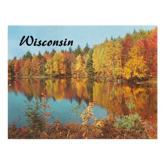 Vintage Autumn Scene Postcard