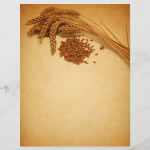 Vintage Autumn Wheat Corn - Letterhead Stationery