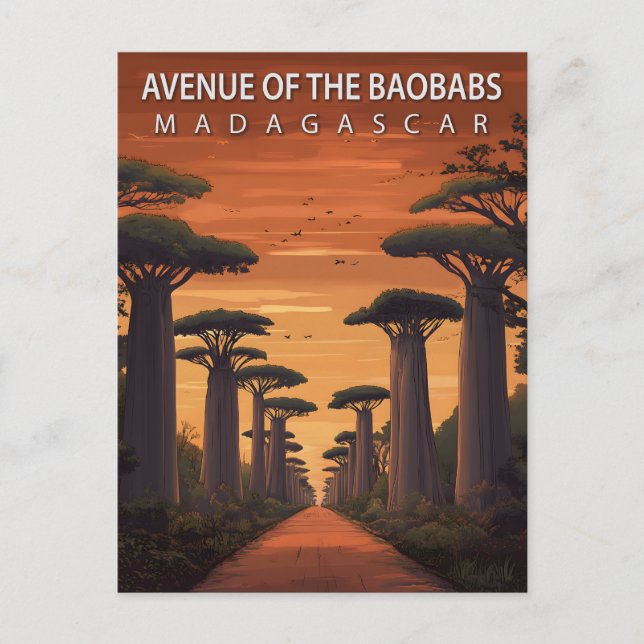 Vintage Avenue of the Baobabs Madagascar Travel Postcard (Front)
