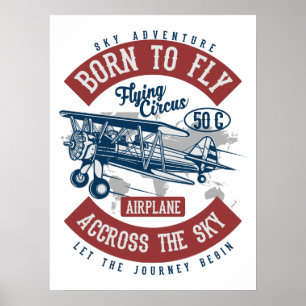 Vintage Aviation Aeroplane Colour  Poster