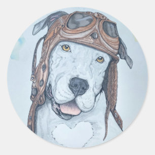 Vintage, Aviator, pilot dog, round sticker