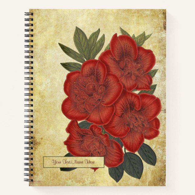 Vintage Azalea (Rhododendron)  Notebook (Front)
