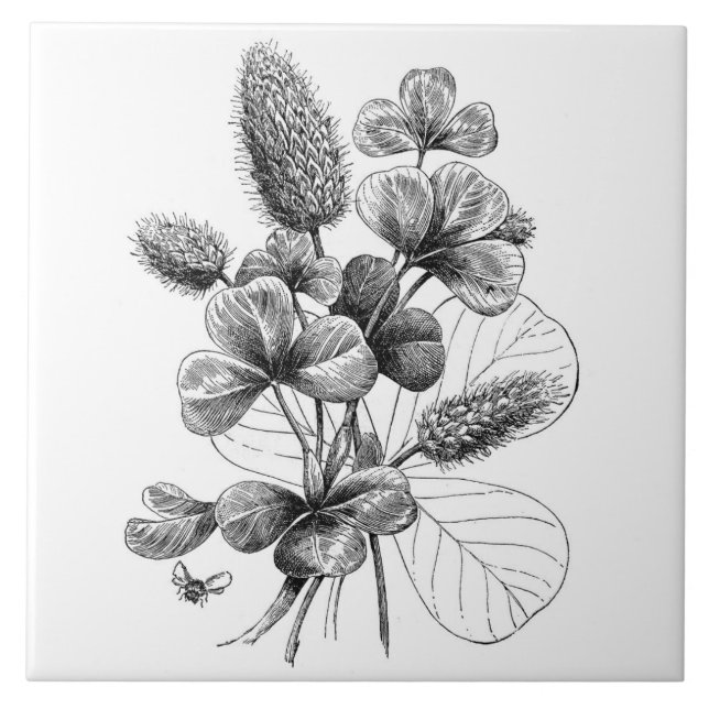 Vintage B&W Clover Bouquet Tile (Front)