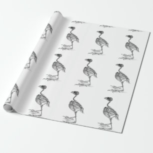 Vintage baby bird skeleton etching wrapping paper