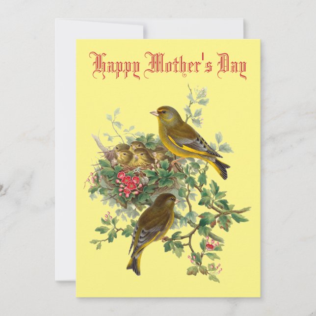 Vintage Baby Birds Nest Mother's Day Holiday Card (Front)