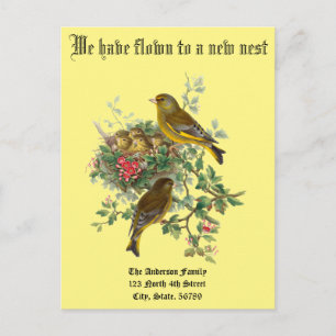 Vintage Baby Birds Nest New Home Announcement Postcard