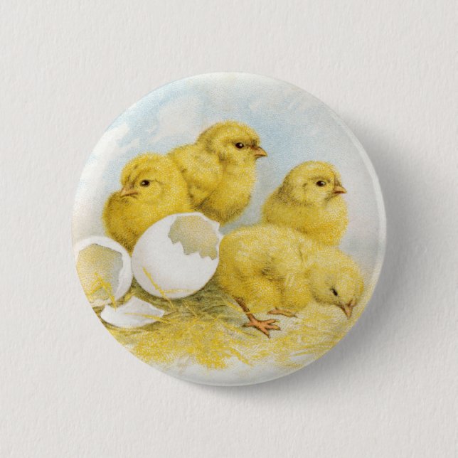 Vintage Baby Chickens 6 Cm Round Badge (Front)