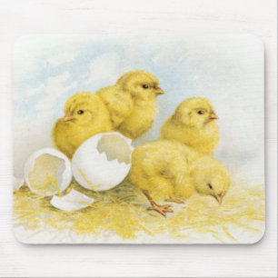 Vintage Baby Chickens Mouse Mat