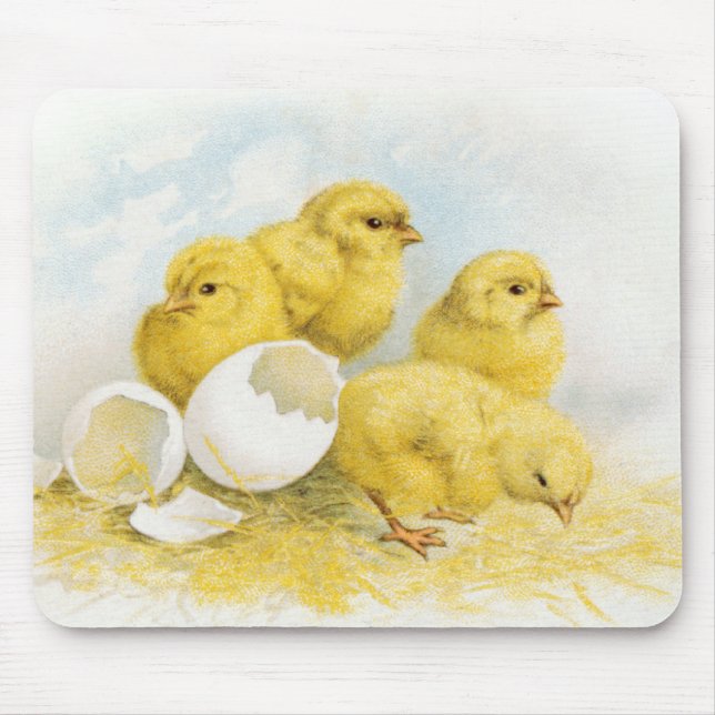 Vintage Baby Chickens Mouse Mat (Front)