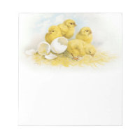 Vintage Baby Chickens