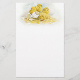 Vintage Baby Chickens Stationery