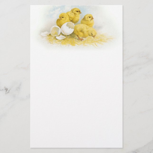 Vintage Baby Chickens Stationery (Front)