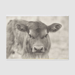 Vintage Baby Cow Calf Tissue Paper
