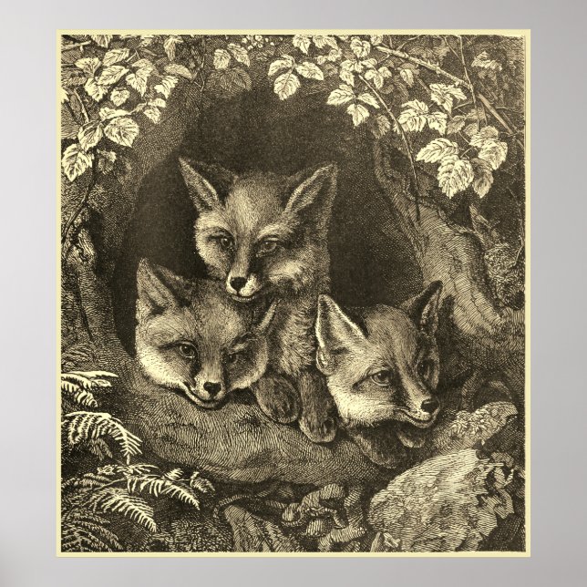 Vintage baby fox woodland poster (Front)
