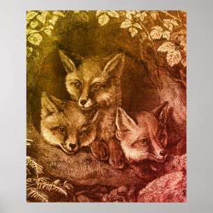 Vintage baby fox woodland smart foxes vintage book poster