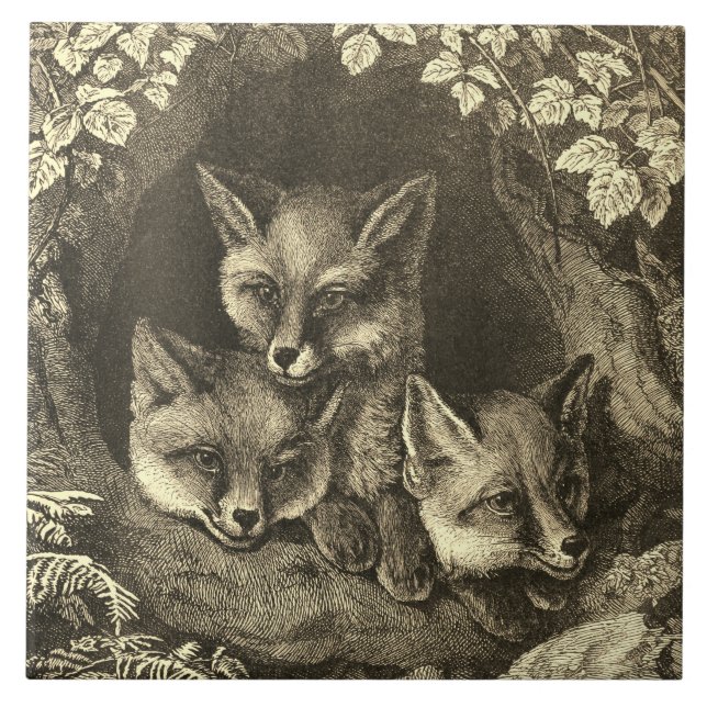 Vintage baby fox woodland tile (Front)