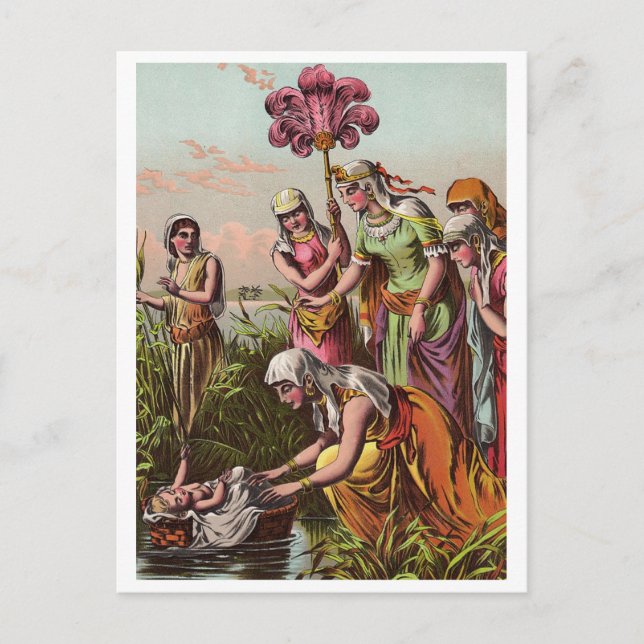 Vintage Baby Moses Postcard (Front)