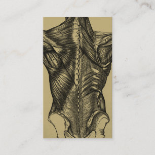 Vintage Back Anatomy Business Cards