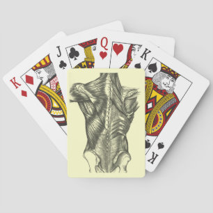 Vintage Back Anatomy Playing Cards
