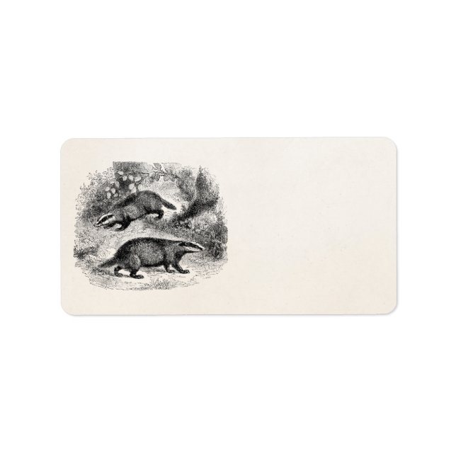 Vintage Badger 1800s Badgers Illustration Label (Front)