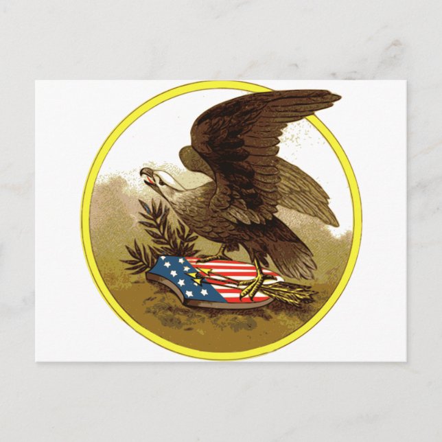 Vintage bald eagle and shield postcard (Front)