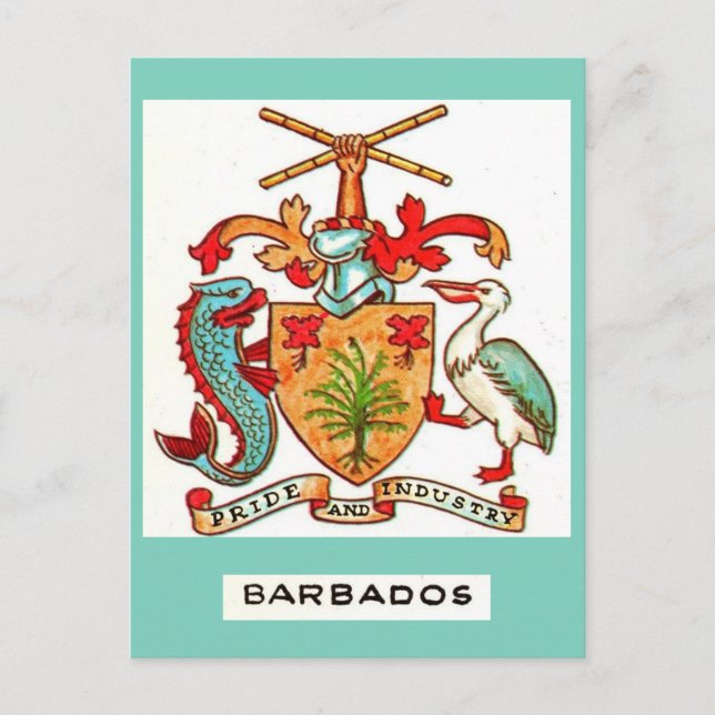 Vintage Barbados Postcard (Front)