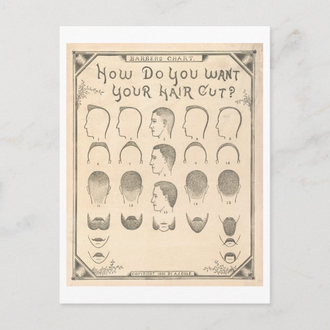 Vintage Barber Chart Postcard (Front)