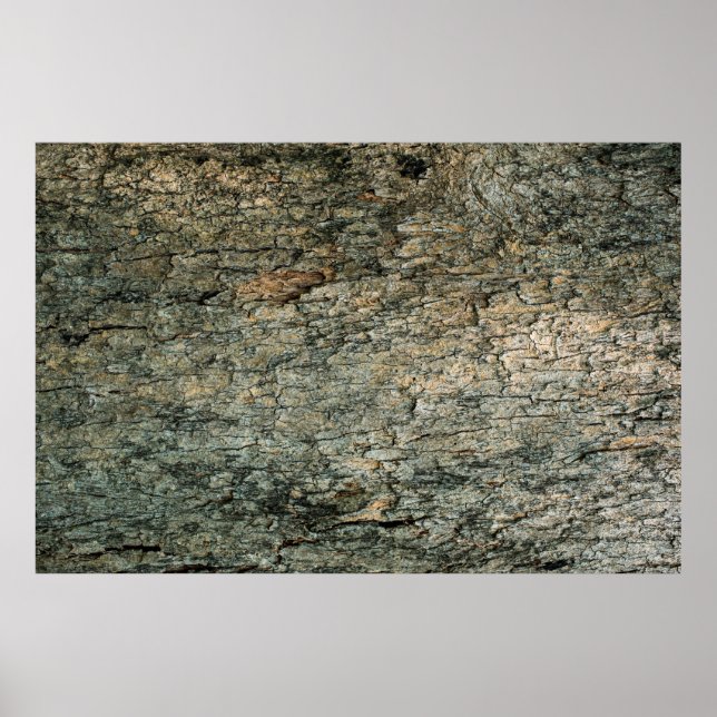 Vintage bark wood backgroundabstract, graphic deco poster (Front)