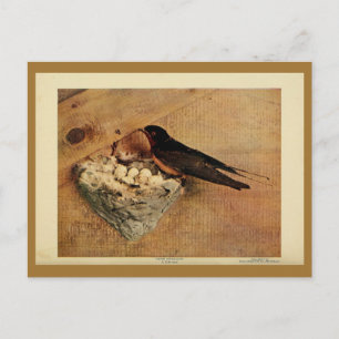 Vintage barn swallow colour litho photo postcard