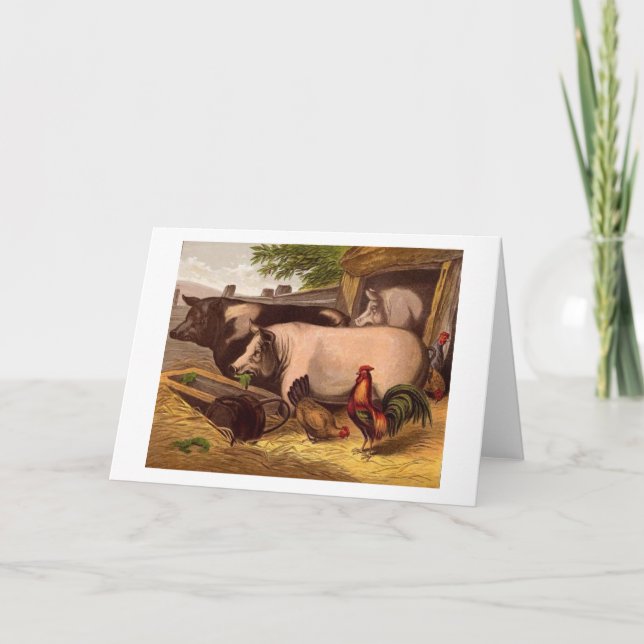 Vintage - Barnyard Friends, Card (Front)
