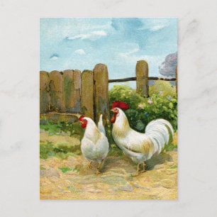 Vintage Barnyard Scene Postcard