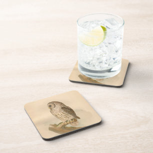Vintage Barred Owl Illustration Coaster