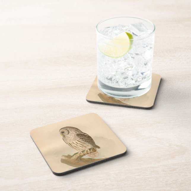 Vintage Barred Owl Illustration Coaster (Right Side)