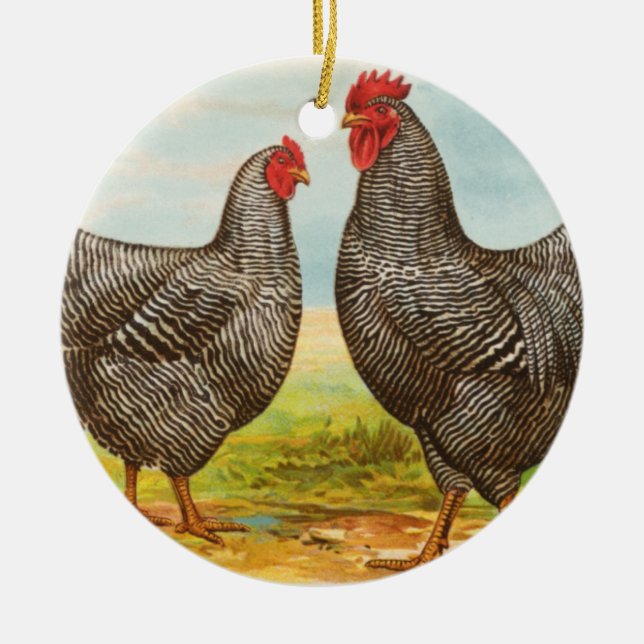 Vintage Barred Plymouth Rock Chickens Ornament (Front)
